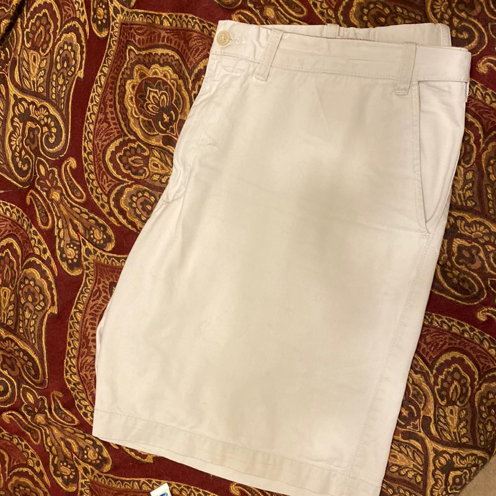 Size 44 Men’s Stone Colored Shorts